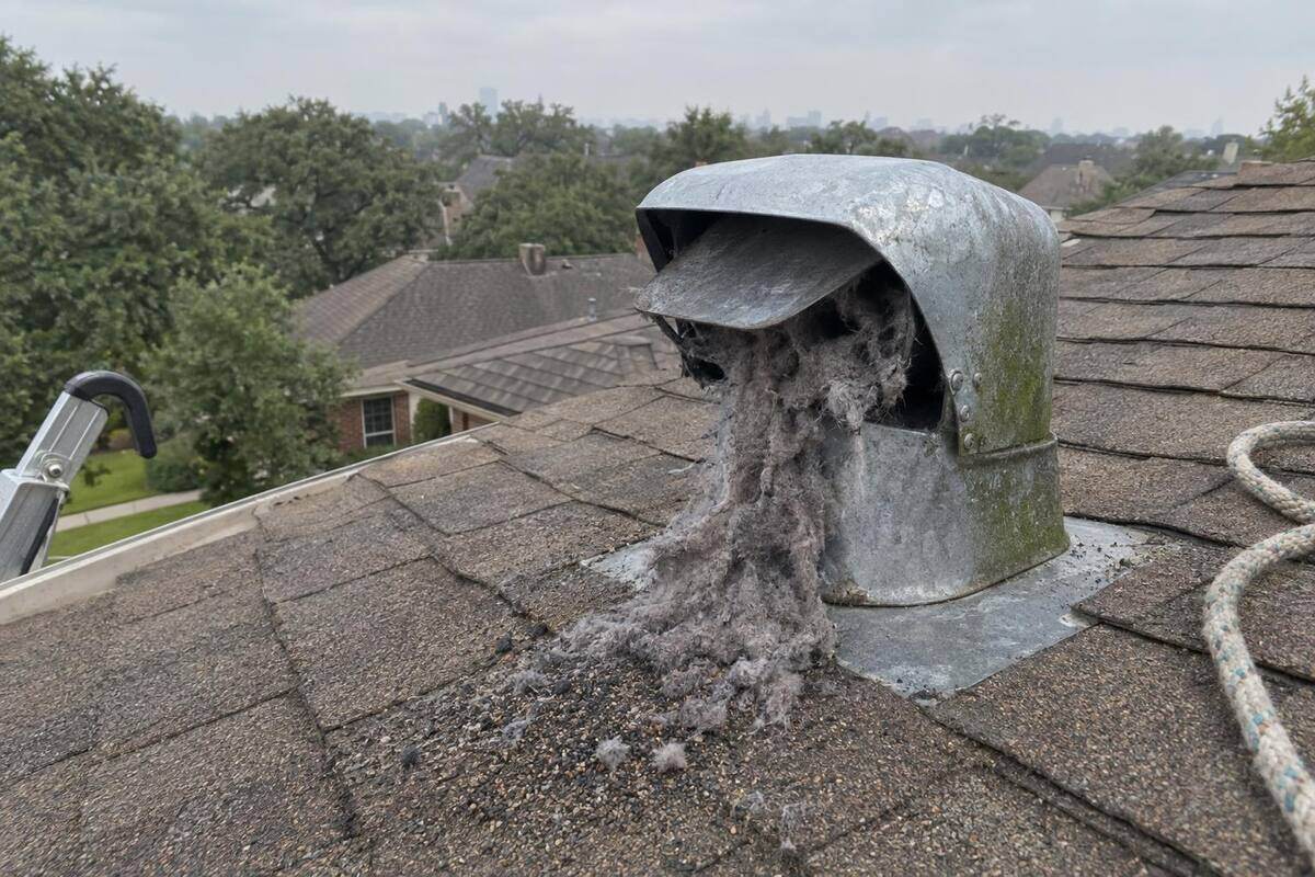 A galvanized dryer vent cap on composition shingles with lint hanging out of the open damper