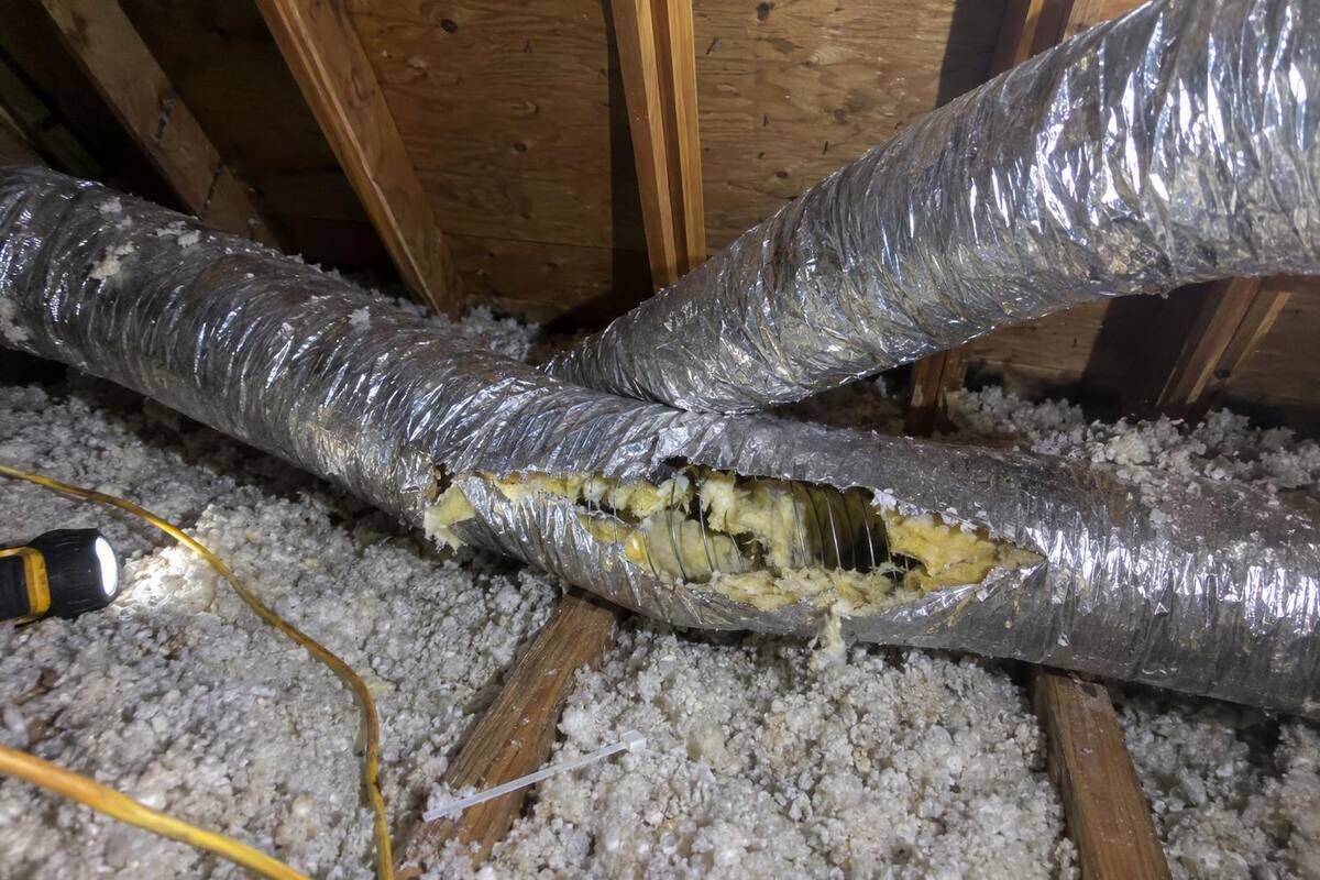 An old flex duct sagging between attic joists with its jacket split open to the fiberglass and wire helix